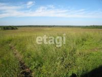 Лот: 17480146. Фото: 6. Продам участок 10 сот. Северо-Енисейский...