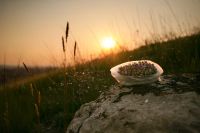 Лот: 3475334. Фото: 2. Canon EF 50mm f/1.4 USM + бленда. Фото, видеокамеры, оптика