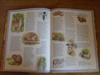 Лот: 2545368. Фото: 2. Большой Атлас Животных продам. Детям и родителям