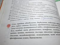 Лот: 25005796. Фото: 7. Oz. (4092317) И. Н. Пономарева...