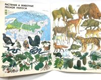 Лот: 25209996. Фото: 12. 📒 Мир и человек. СССР 1988 г...