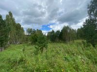 Лот: 23538890. Фото: 3. Ровный участок на Мане (срочно... Недвижимость