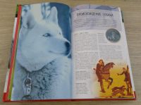 Лот: 8248209. Фото: 3. Собаки. Полная энциклопедия. Литература, книги
