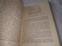 Лот: 22049899. Фото: 4. (3092312) Природные ресурсы зарубежных... Красноярск