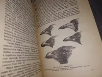 Лот: 16807525. Фото: 3. Второв П. П., Дроздов Н. Н. Определитель... Литература, книги