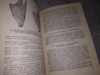 Лот: 16807525. Фото: 4. Второв П. П., Дроздов Н. Н. Определитель... Красноярск