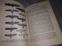 Лот: 16807525. Фото: 8. Второв П. П., Дроздов Н. Н. Определитель...