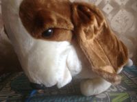 Лот: 14610500. Фото: 3. Очень грустный пёс. Дети растут