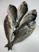Лот: 21096058. Фото: 2. Дорада. Продукты