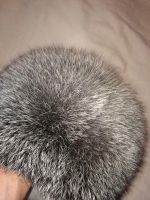 Лот: 6699480. Фото: 6. Шапка из чернобурки женская отличное...
