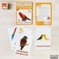 Лот: 11548887. Фото: 2. Карточки по методике Домана "Попугаи. Детям и родителям