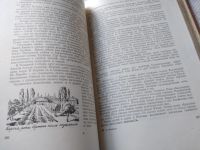 Лот: 18242010. Фото: 8. Михайлов Н.Н. Над картой Родины...