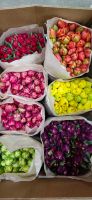 Лот: 17255769. Фото: 19. Шикарные тюльпаны с юга России...