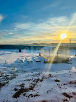 Лот: 25317129. Фото: 13. 2-комн. дом , село Дрокино Цветочная...