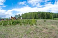 Лот: 9876648. Фото: 7. Участок в Манском