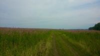 Лот: 5875072. Фото: 7. Земельный участок (золотая горка...