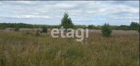Лот: 25289770. Фото: 3. участок , село Частоостровское... Недвижимость