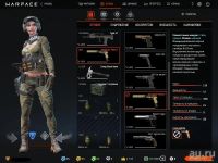 Лот: 9779413. Фото: 2. аккаунт warface альфа 73 ранг. Компьютерные игры, игровые аккаунты, ПО