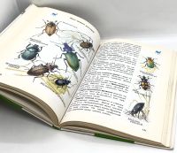 Лот: 25412283. Фото: 11. 📗 А. Плешаков. От земли до неба...