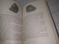 Лот: 25524586. Фото: 9. (4092367)Хомутов А.Е. Антропология...