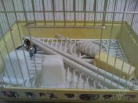 Лот: 732129. Фото: 2. клетка для птицы. Животные и уход