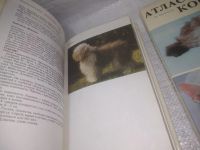 Лот: 25600745. Фото: 6. вбР/оз(00-33)К-кт из 2-х книг...