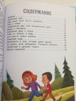 Лот: 20756932. Фото: 5. Стоп угроза. Безопасный мир. Лия...