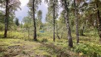 Лот: 25294724. Фото: 19. 3-комн. дача , село Овсянка село...