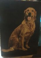 Лот: 25801549. Фото: 7. Календари (собачки)