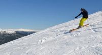 Лот: 6526673. Фото: 3. All Mountain лыжи Nordica Hot... Спортивные товары
