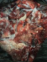 Лот: 11336265. Фото: 5. Обрезь говяжья Мясо для собак...