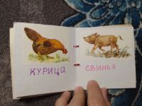 Лот: 24337237. Фото: 4. Кто это? Самодельная детская книжка...