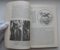 Лот: 19858364. Фото: 4. Гроф Станислав. За пределами мозга. Красноярск