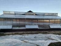 Лот: 25019127. Фото: 8. Услуги по монтажу теплиц и сотового...