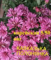 Лот: 8882033. Фото: 3. Кавказкая полонянка. Для дачи, дома, огорода, бани, парка