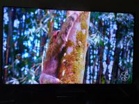Лот: 16136993. Фото: 5. 4K Телевизор xiaomi e65a All screen...