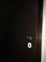 Лот: 8831846. Фото: 2. Дверь входная, металлическая... Двери, окна, фурнитура