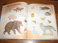 Лот: 2253208. Фото: 2. 100 логопедических игр. Детям и родителям