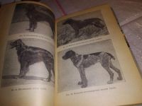 Лот: 17282868. Фото: 11. ок (01..01) Шерешевский Э., Арманд...