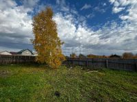 Лот: 25680271. Фото: 7. 2-комн. дом , ДНТ Ясное Тихая...