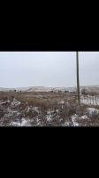 Лот: 15934960. Фото: 5. Земельный