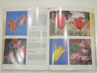 Лот: 19468081. Фото: 4. книга альбом нарциссы тюльпаны... Красноярск