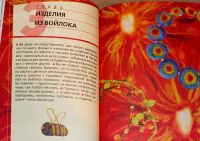Лот: 12331616. Фото: 5. Шинковская Ксения - Художественный...