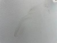 Лот: 24872319. Фото: 8. обшивка потолка Kia Seltos SP2