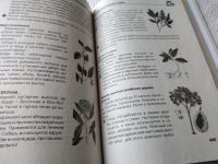 Лот: 17777526. Фото: 8. ок (01..01) Игорь Молодан "Автономное...