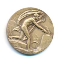 Лот: 21766720. Фото: 2. Швеция 1960 Медаль Кнут Линдмарк... Значки, медали, жетоны