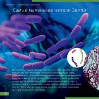 Лот: 10349259. Фото: 5. Книга знаний «Невидимый мир»