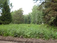 Лот: 5257764. Фото: 6. Земля станция Минино 22 сотки...