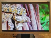 Лот: 22191570. Фото: 2. Монитор 22" (55.9 см) Samsung... Мониторы, проекторы