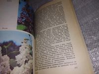 Лот: 17531233. Фото: 5. Сирень, Лунева З.С., Михайлов...